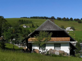 Schwarzwaldhaus Sonnenstraße, Oberried-Hofsgrund, Dreisamtal